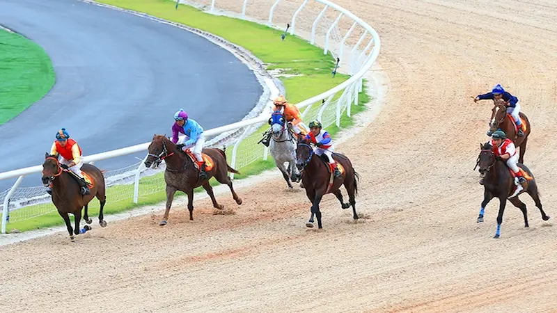 Successful Horse Racing Betting Tips